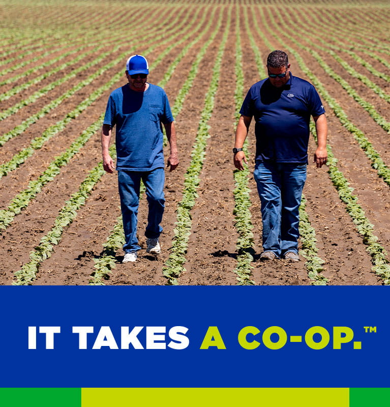 Growing together it every season. It Takes a Co-op. 
