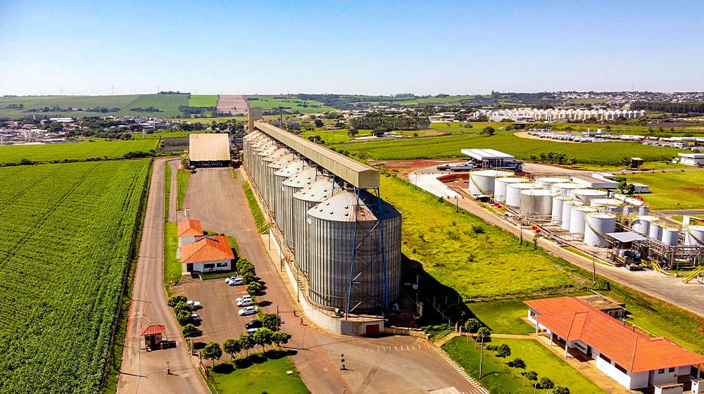 Grain elevator with grain bins