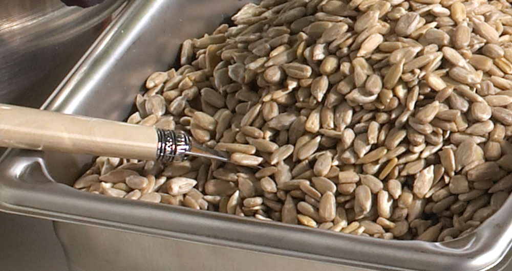 sunflower-kernel